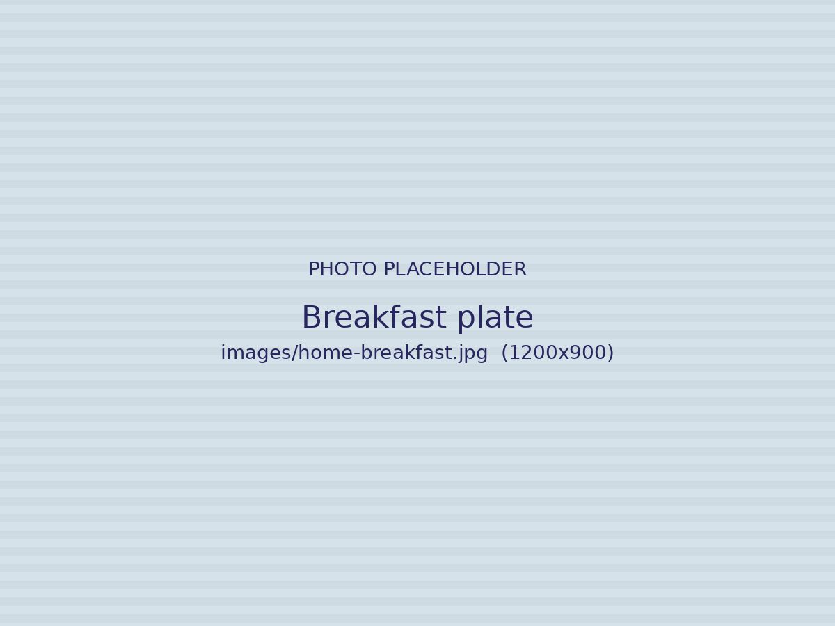 A plate of breakfast